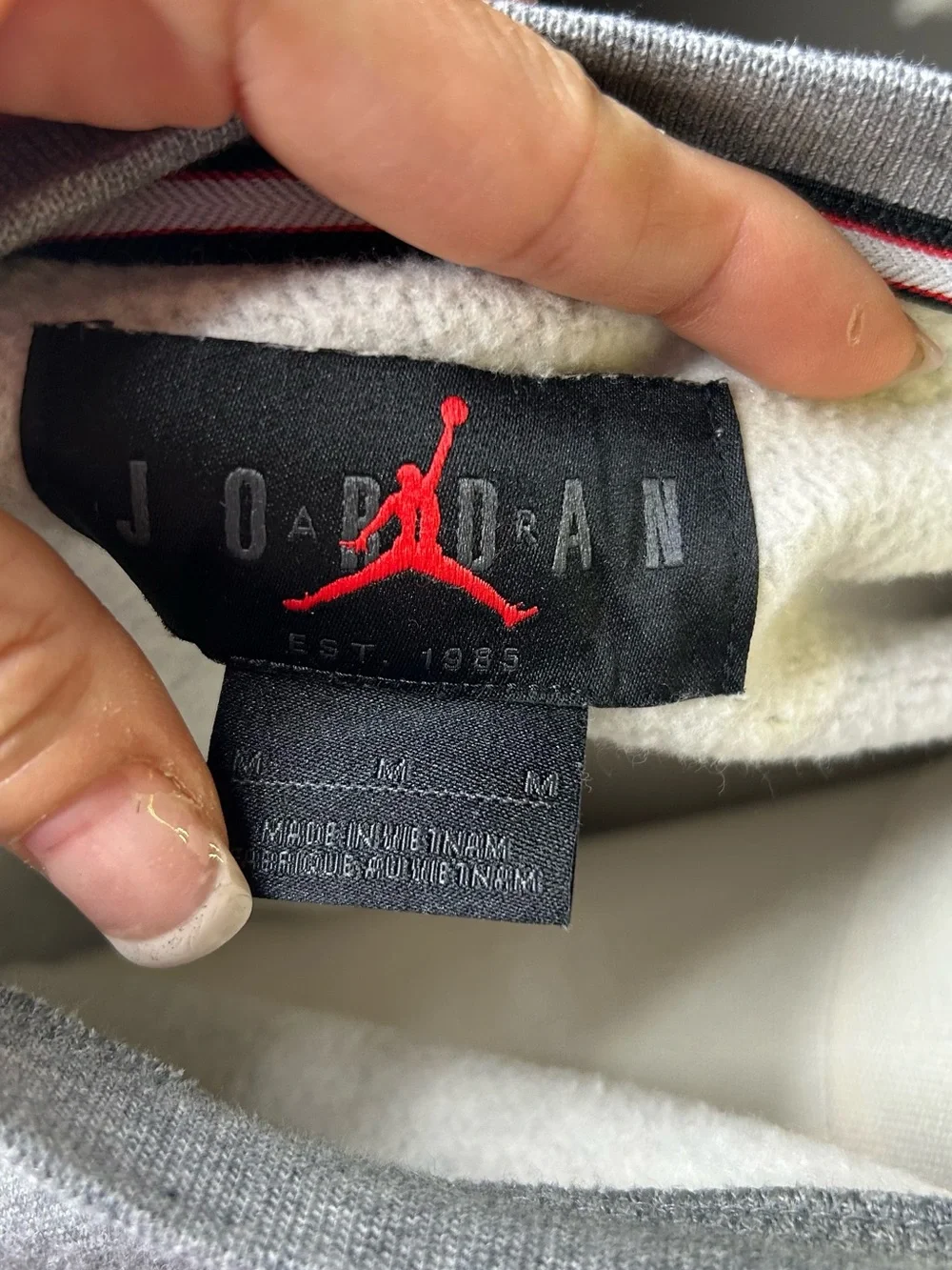 Jordan Grey Crewneck with Multicolor Embroidered Logo
